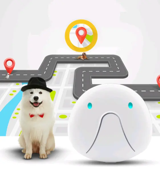 Controllo App cani da compagnia Anti smarrimento 4G collare di posizione impermeabile senza fili forniture OEM Dog GPS Tracker