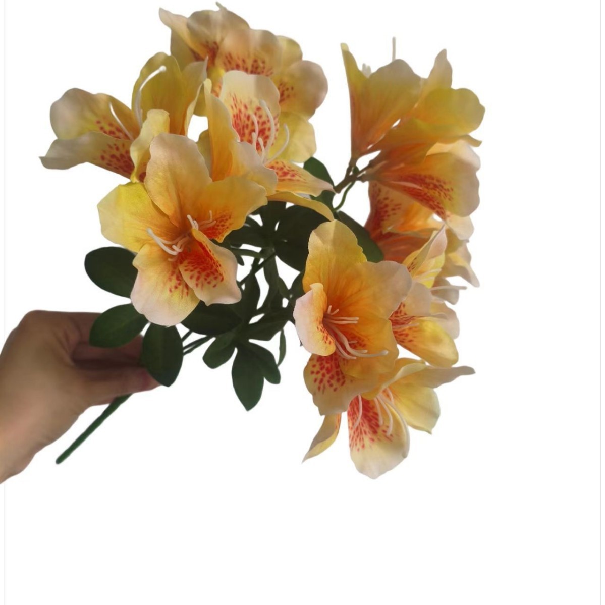 สีเหลือง