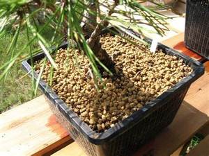 庭用品と多肉植物用の硬い赤玉盆栽粘土土