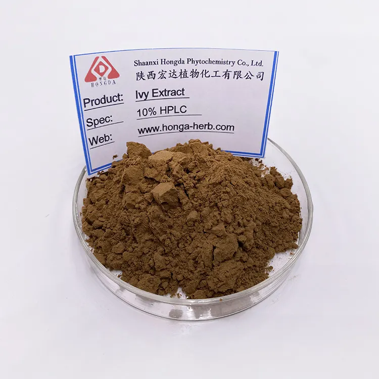 Ivy Extract Hedera Helix Extract Powder Hederacoside C10% Ivy Extract