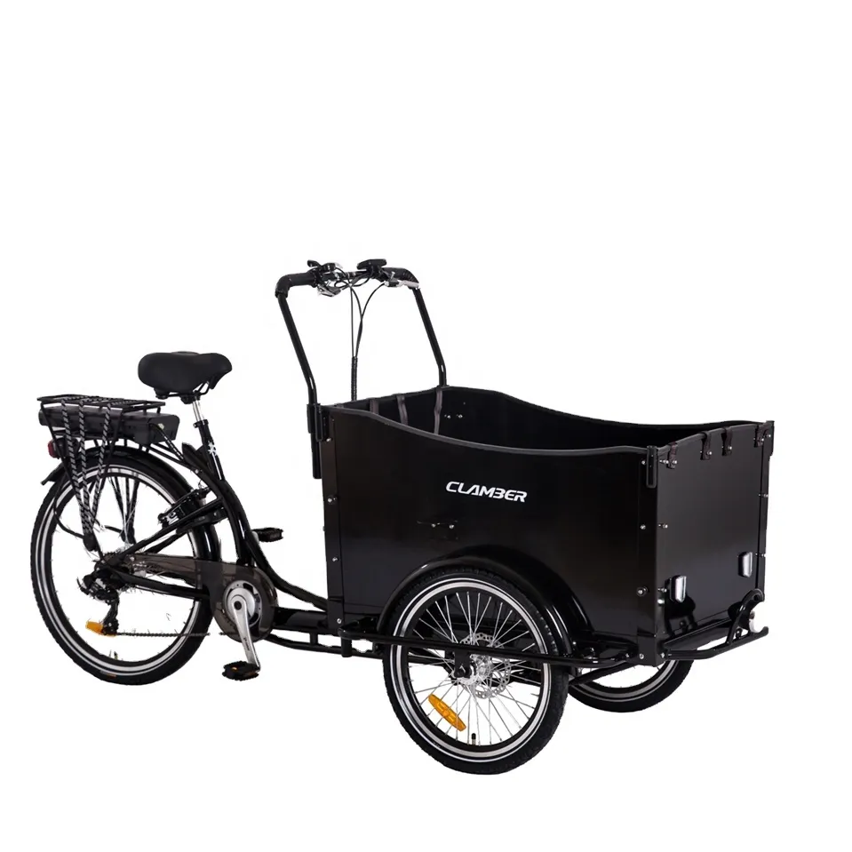 Hot sale three wheel rear motor electric cargo bike to take four kids