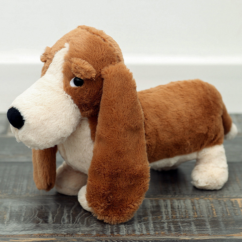 Bassett hound de Randall
