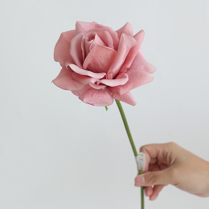 Rose marron