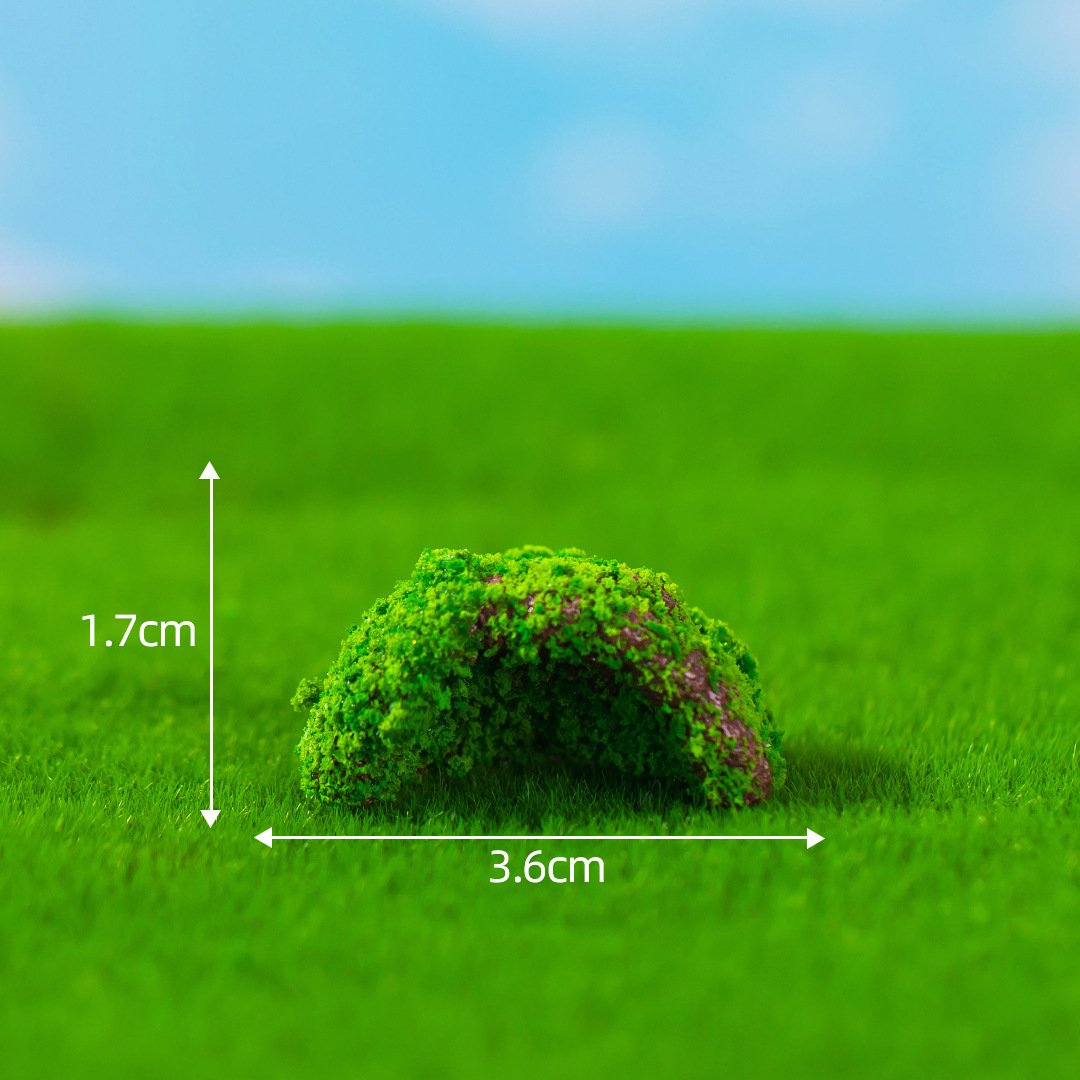 Tree Hole