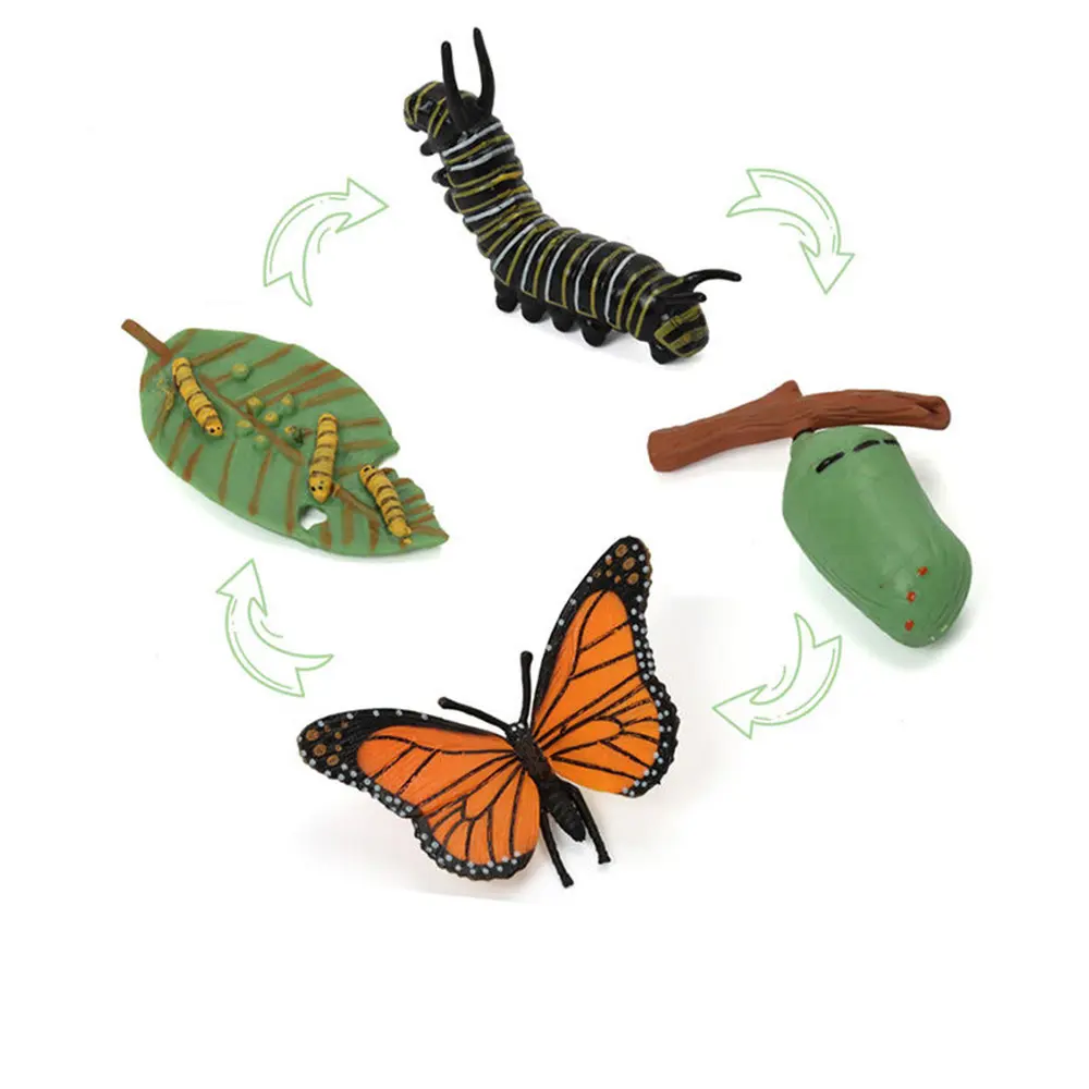 Giocattoli per l'apprendimento dei bambini giocattoli educativi per la scuola materna ciclo di vita della farfalla apprendimento cambio del ciclo di evoluzione biologica cognitiva