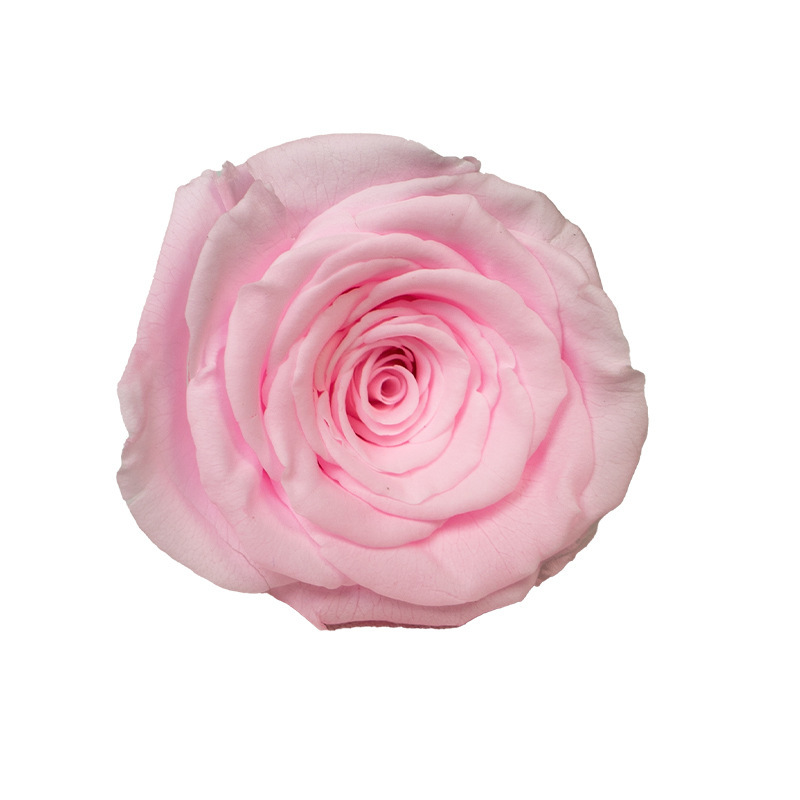 Light water pink