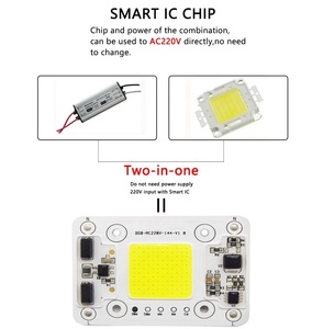 Upgrade New Design <strong>40</strong>*60MM 50W 220v Ac <strong>Led</strong> Module COB <strong>LED</strong> Chip - Product Image 5