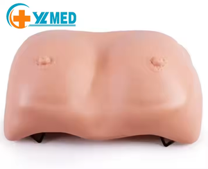 Medical Teaching Manikin Female <strong>Palpation</strong> Wearable Breast Examination Model for Training Comparative Observation Skeleton Model - Product Image 2