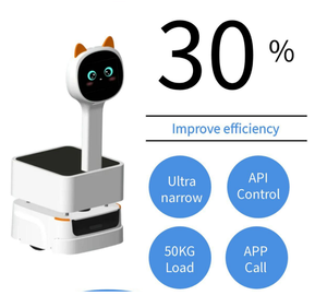 AGV AMR otonom mobil Robot teslimatı Ros AGV Robot şasi Chassi Robot lojistik taşımacılığı için - Product Image 5