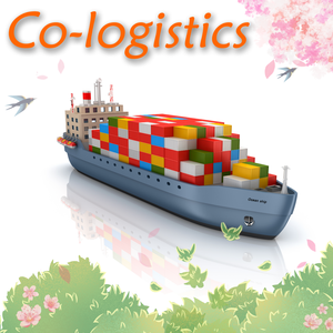 Bir durak çin ningbo kullanılmış konteyner nakliye ithalat ve ihracat 40ft MONGLA bangladeş - Product Image 4