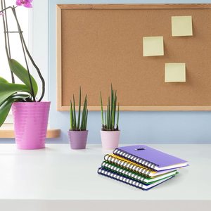 LABON 4 Pieces Spiral <strong>Notebook</strong> Pocket Notepad <strong>With</strong> Pen in Holder and Sticky <strong>Notes</strong>, Page Marker <strong>Index</strong> Tabs Flags - Product Image 6