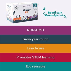 <span class=keywords><strong>Beanstalk</strong></span> 5-loại không biến đổi gen hoa phát triển Kit cử nhân nút Zinnia Cúc Vạn Thọ Virginia Chứng Khoán bé của hơi thở tốt nhất sinh nhật vườn - Product Image 3