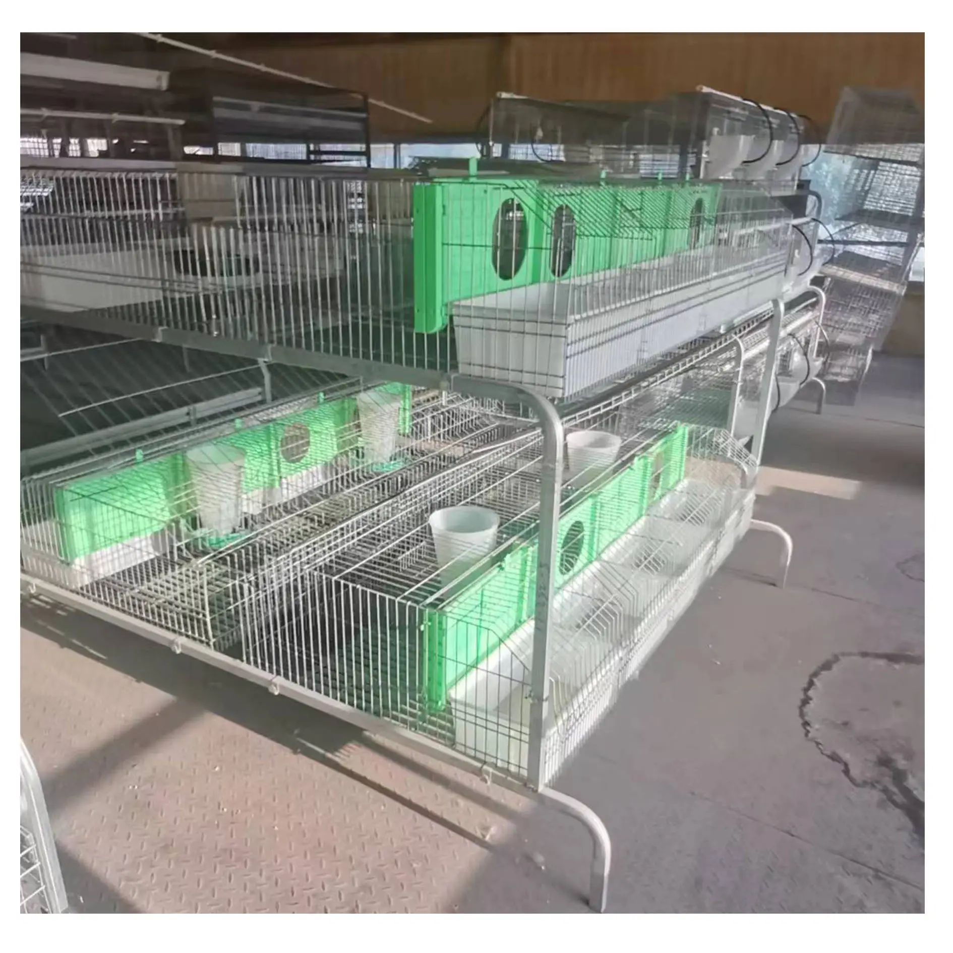 Usine commerciale de cage d'élevage de lapin en fer soudé galvanisé Offre Spéciale