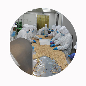 Hữu cơ đông lạnh tươi chickpeas gmo-miễn phí chick peas và garbanzo đậu iqf số lượng lớn giá bán buôn - Product Image 3