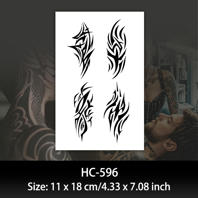 HC596