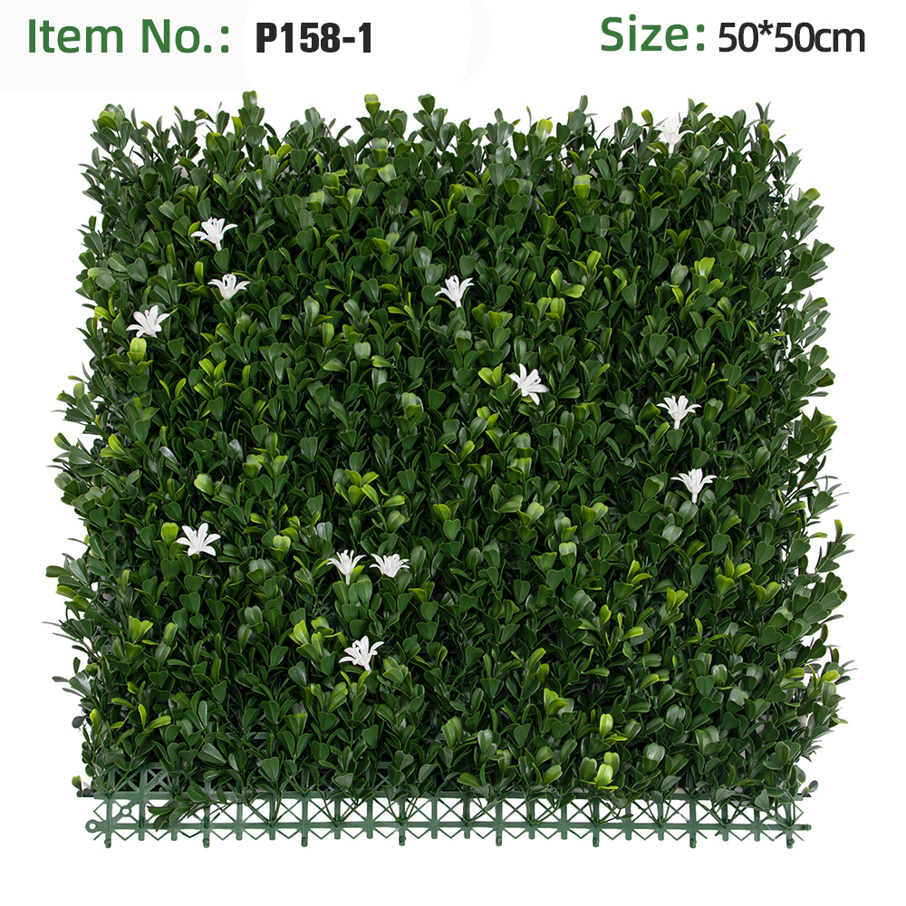 Dark Green Boxwood With White Orchid Grass Wall Panel