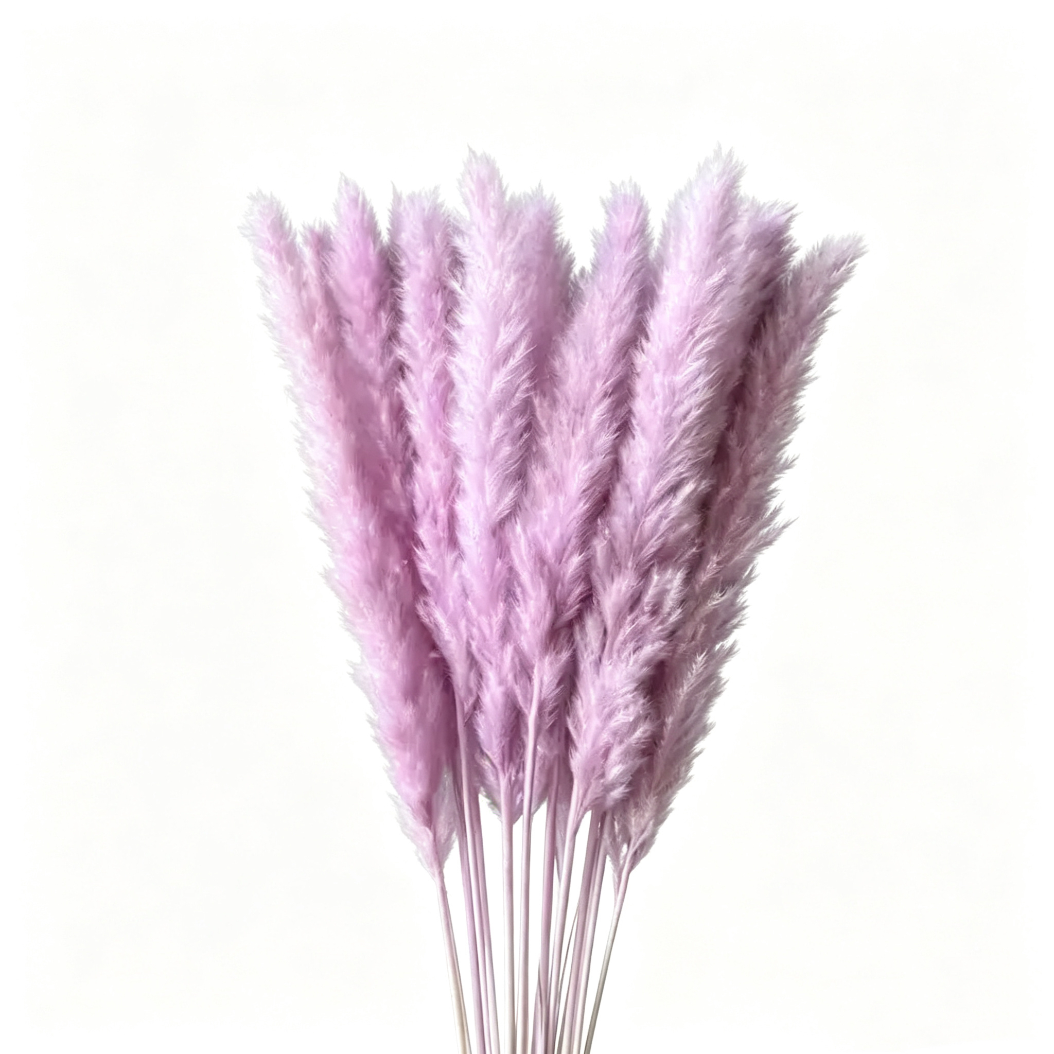 taro violet