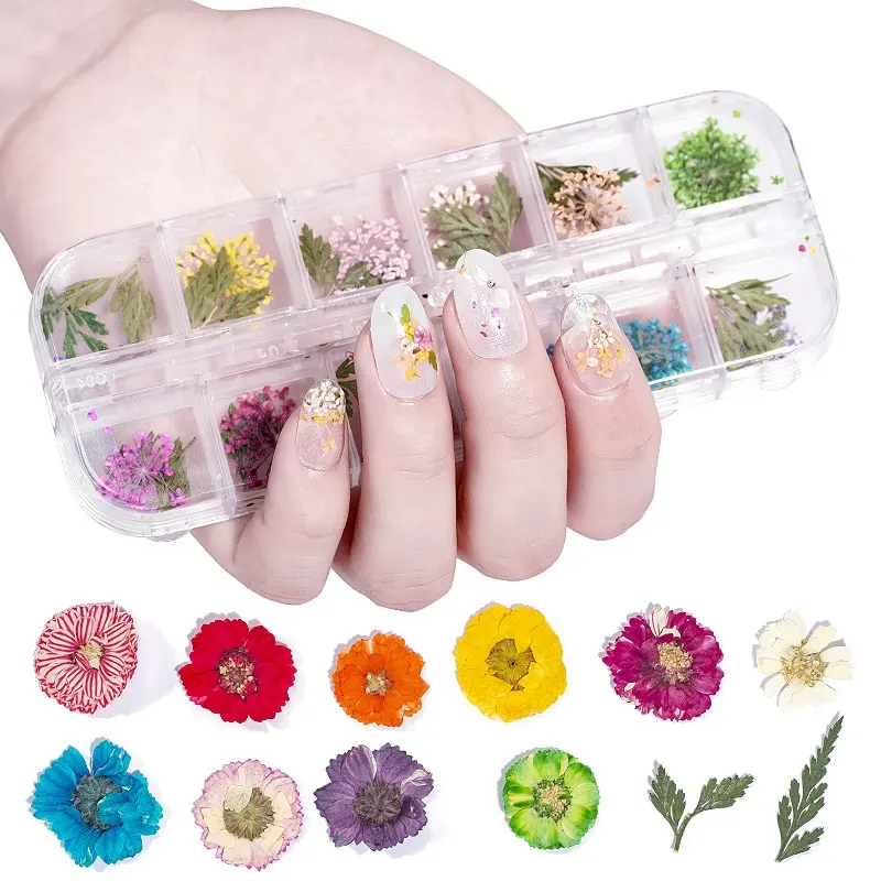 Décoration des ongles 3D en fleur, manucure, coloré, mixte, 100%, pour Nail-Art, coque de téléphone portable, à faire soi-même, presse à fleurs séchées