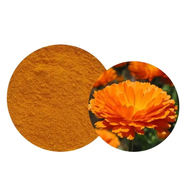 Top Quality Whosale 100% Pure Natural Marigold Flower Extract Powder Lutein