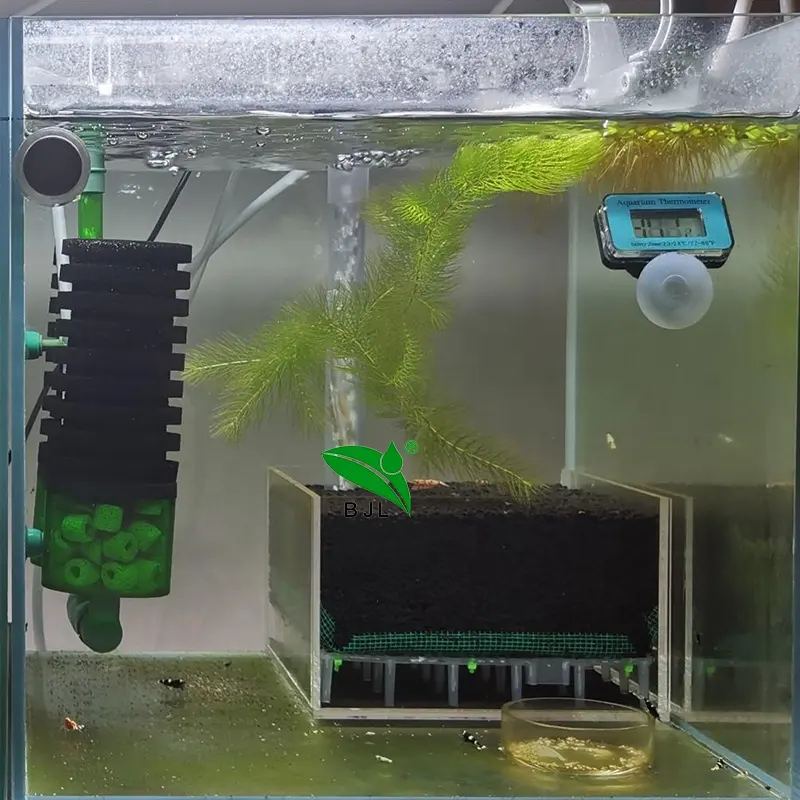 Scatola trasparente per sistema di filtro per acquario con gamberetti in acrilico
