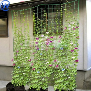 グリーン植物クライミングロープメッシュポリプロピレントレリスエンドウ豆ネットポリエステル植物ナイロントレリスネットガーデンネット - Product Image 3