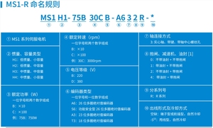 Inovance เซอร์โวมอเตอร์ชุด MS1เซอร์โวมอเตอร์ MS1H3-18C15CB-T331R ประสิทธิภาพสูงสำหรับเครื่องบรรจุภัณฑ์