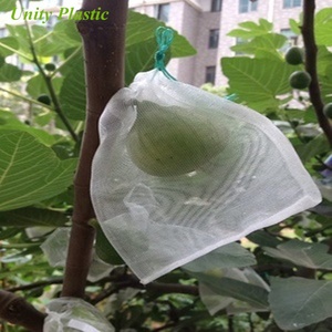 Fruit <strong>Tree</strong> <strong>Net</strong> protection <strong>Cover</strong> Anti Insect Mesh Netting From Factory - Product Image 3