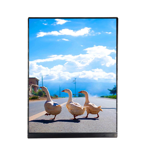 Scharfes Original 7,9 Zoll LQ079L1SX01 TFT LCD-Anzeige modul 1536*2048 Hoch auflösender durchlässiger LCD-Bildschirm - Product Image 1