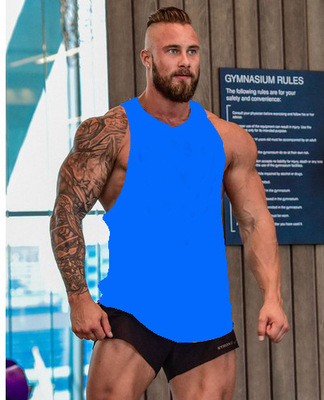 Bleu (vierge, sans logo)