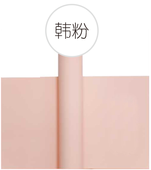 Korean fan