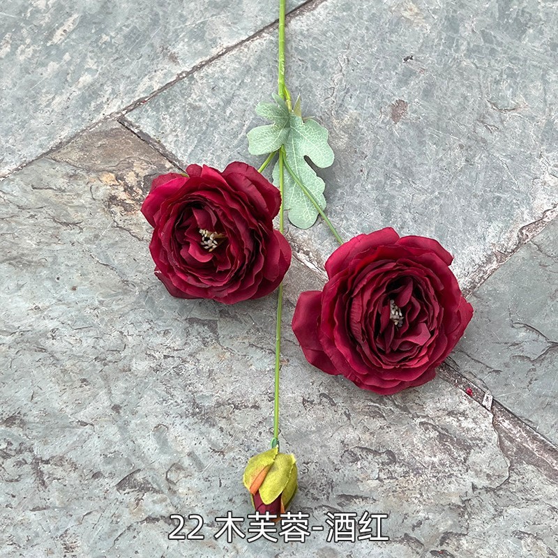 9# Rouge, 22 bois hibiscus-vin rouge