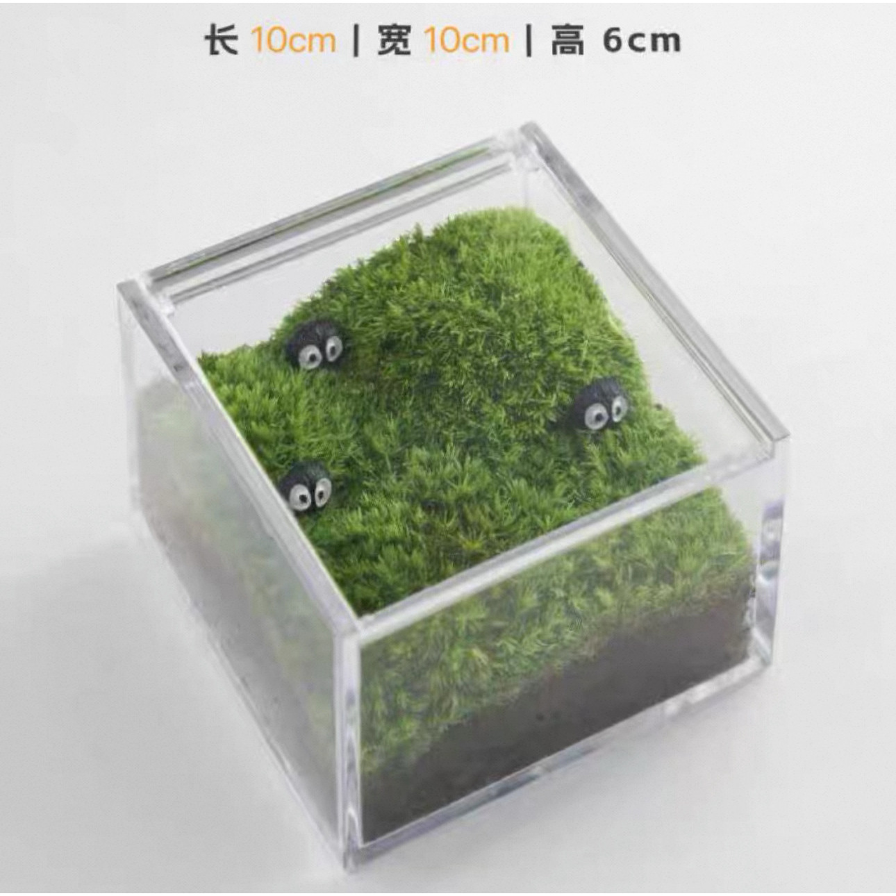 Extra Large (10X10X6cm coal briquettes on grass)
