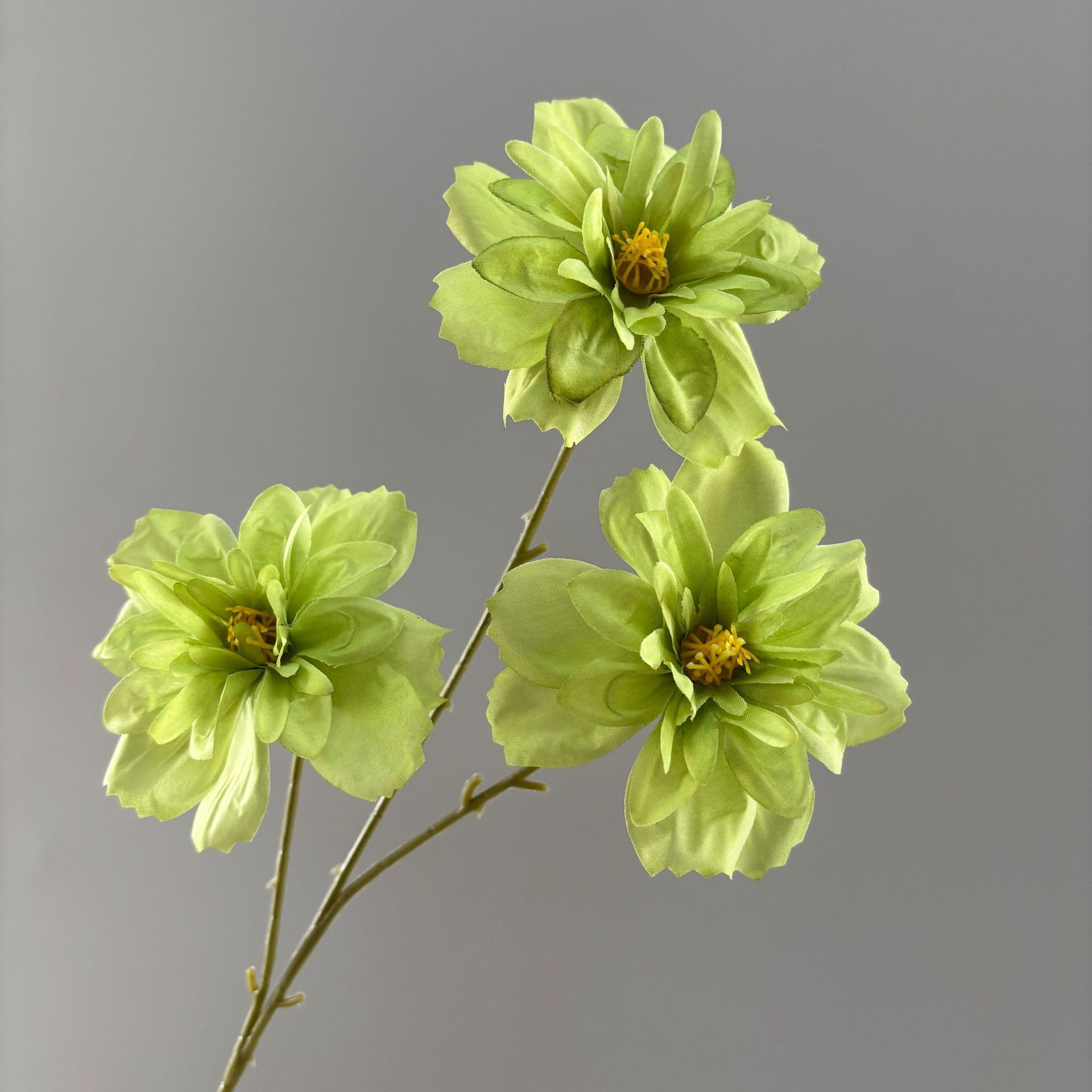 Flor de la Felicidad Verde