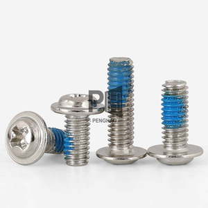 Oem באיכות גבוהה iso סטנדרטי 304 iso נירוסטה צלב ראש פנגלי ברגים דבק ניילון כחול תיקון ברגים