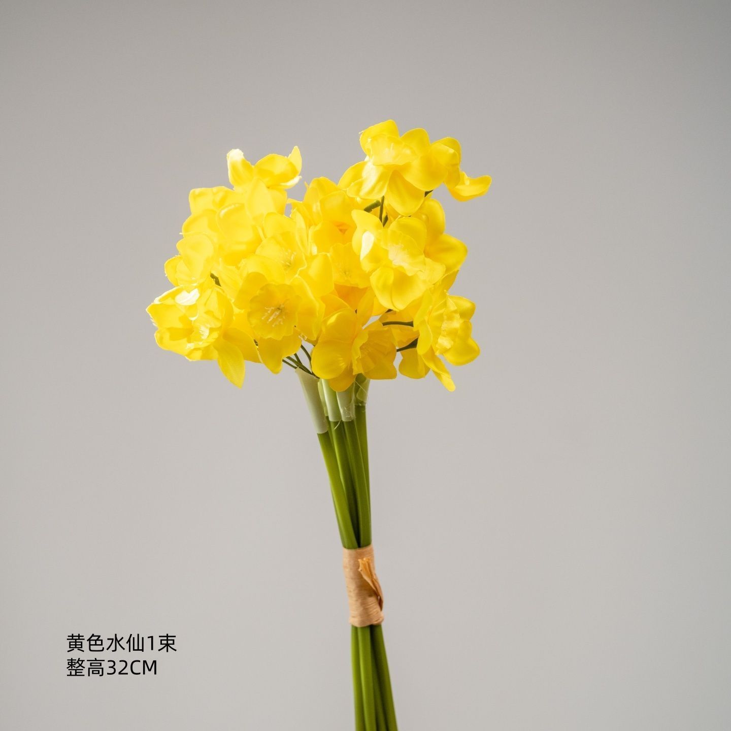 Jonquilles jaunes