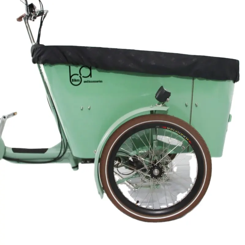 Balançoire électrique système d'inclinaison version vélo cargo tricycle à 3 trois roues cargo ebike cargo chien ebike tricycles électriques