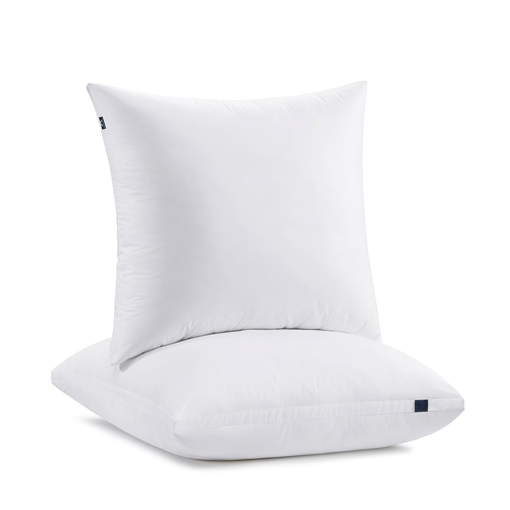 Coussin Euro