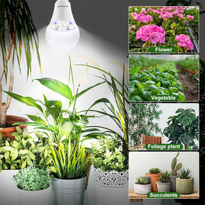 New Arrival Full Spectrum E27 E26 A19 <strong>10W</strong> 5000K <strong>Red</strong> Blue Color <strong>Led</strong> Grow Light Bulbs for Indoor Plants - Product Image 6
