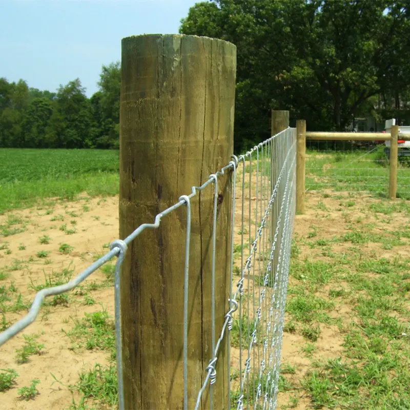 7/90/30 pesante zincato-nodo fisso-200m per rotolo recinzione a battente per recinzione da campo o recinzione per bovini