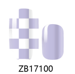 ZB17100