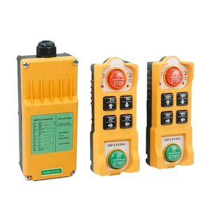 Produttore vendita diretta intelligente industriale senza fili gru Radio telecomando 1 trasmettitore 1 ricevitore per paranco codice di rotolamento - Product Image 3