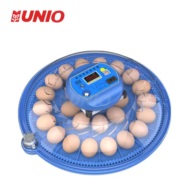 Cheap Sale Small incubadora incubadora de ovos incubadora 62 ovos incubadora