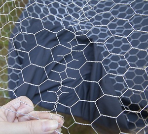 Red para aves de corral, cerca hexagonal - Product Image 4