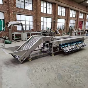 Size Sorter Fruit and Vegetable Cherry Date Orange Olive Avocado Cassava <strong>Classifier</strong> Rolling Rail Sorting Grader Machine - Product Image 2