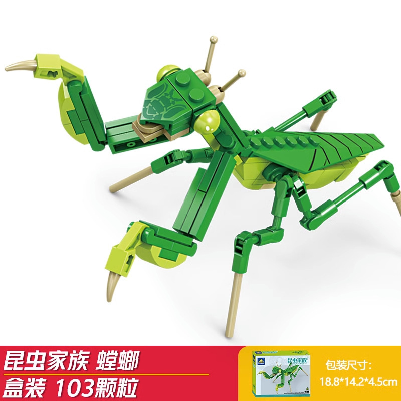 Mantis-kai zhi 80040-1