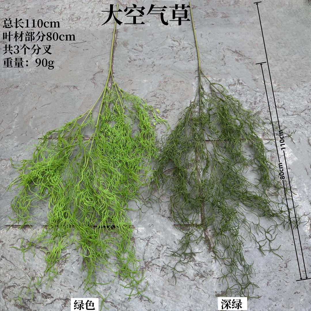 Large air plant-deep green