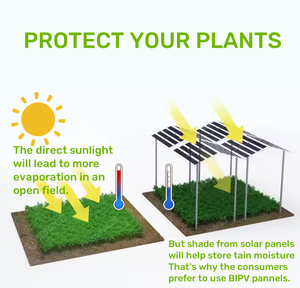 Tấm pin mặt trời bipv bán trong suốt 280W mô-đun năng lượng mặt trời hai chiều cho các dự án nông nghiệp - Product Image 3