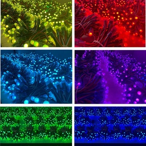 Factory Wholesale Digital Addressable 12mm WS2811 <strong>LED</strong> <strong>Pixel</strong> Light DC 5V 12V for Advertising Signs Holiday Lighting - Product Image 6