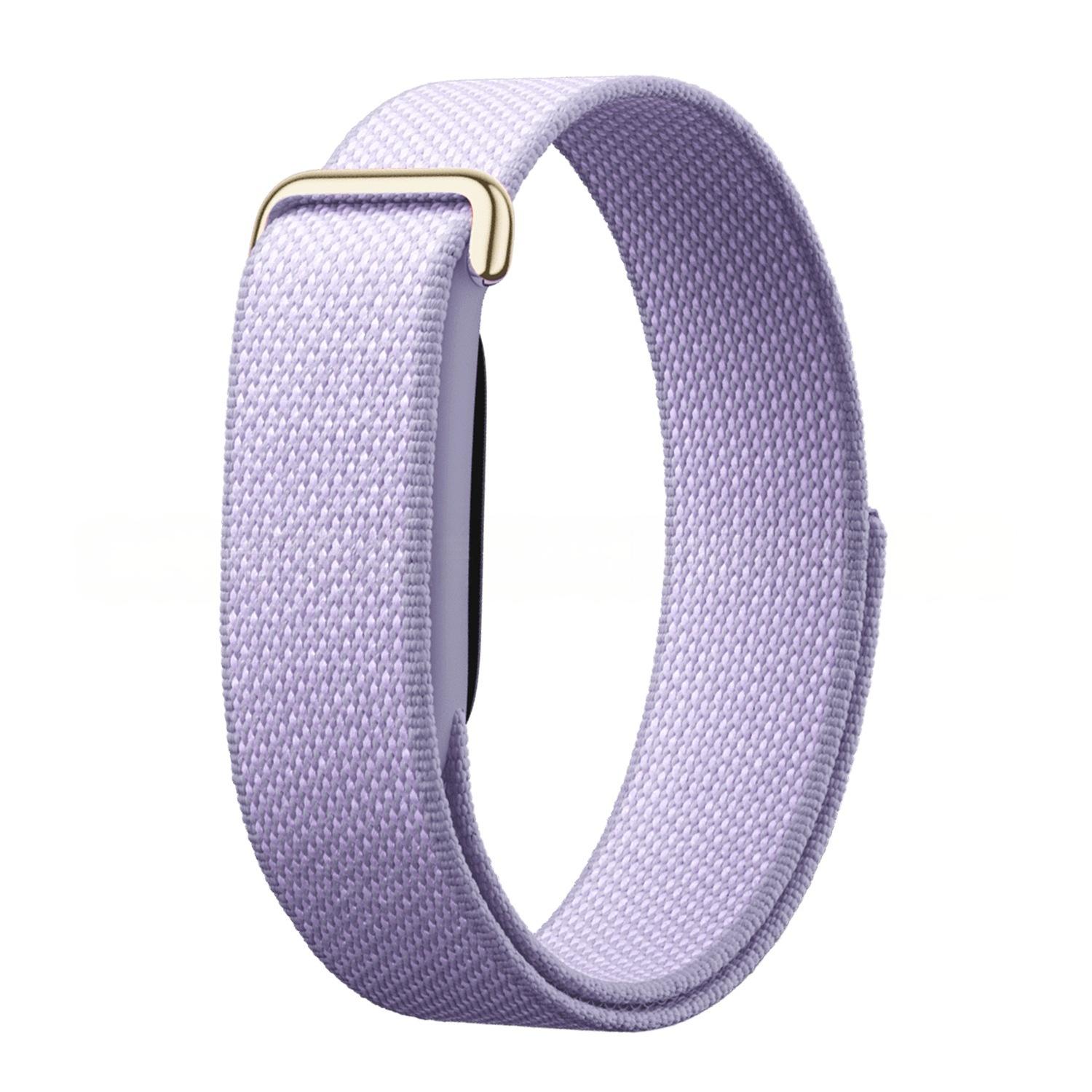 Standard Edition-Purple