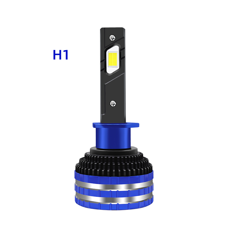 H1